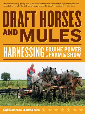 cover image of Draft Horses and Mules